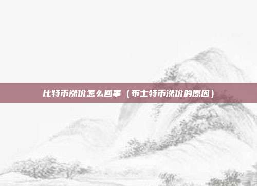 比特币涨价怎么回事（布士特币涨价的原因）