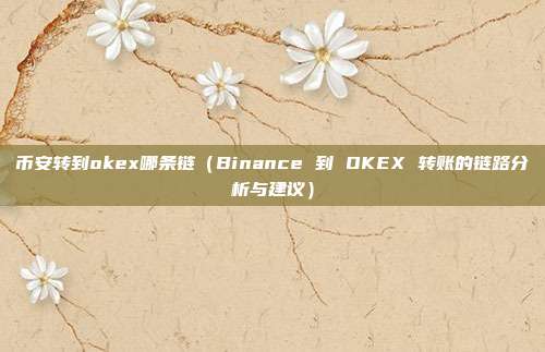 币安转到okex哪条链（Binance 到 OKEX 转账的链路分析与建议）