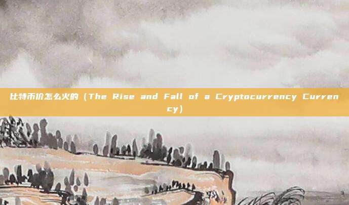 比特币价怎么火的（The Rise and Fall of a Cryptocurrency Currency）