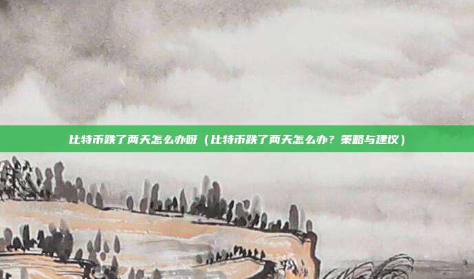 比特币跌了两天怎么办呀（比特币跌了两天怎么办？策略与建议）