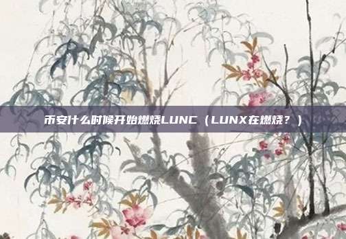 币安什么时候开始燃烧LUNC（LUNX在燃烧？）