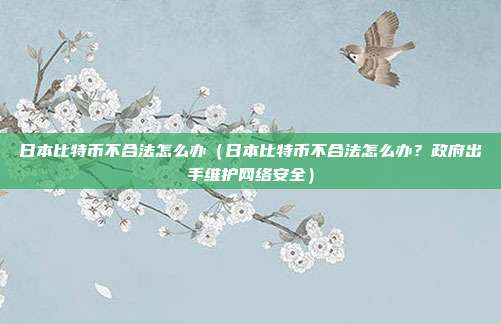 日本比特币不合法怎么办（日本比特币不合法怎么办？政府出手维护网络安全）