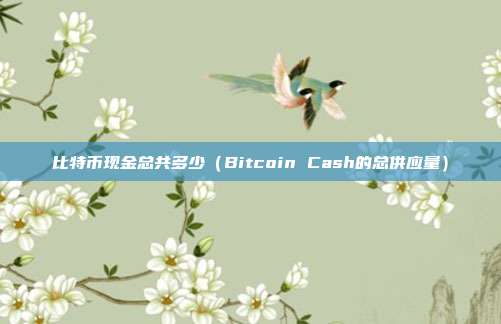 比特币现金总共多少（Bitcoin Cash的总供应量）