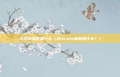 比特币指数是什么（Bitcoin指数是什么？）