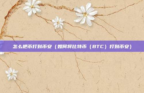 怎么把币打到币安（如何将比特币（BTC）打到币安）