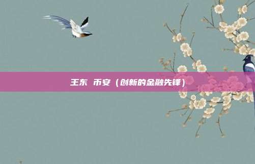 王东 币安（创新的金融先锋）