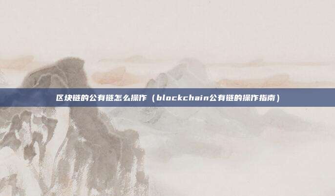 区块链的公有链怎么操作（blockchain公有链的操作指南）