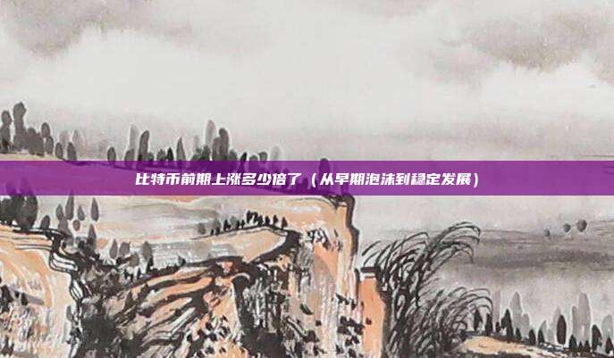 比特币前期上涨多少倍了（从早期泡沫到稳定发展）