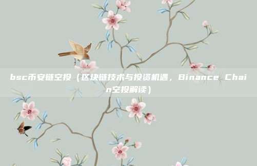 bsc币安链空投（区块链技术与投资机遇，Binance Chain空投解读）