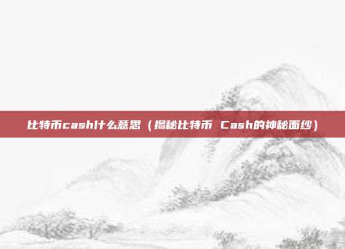 比特币cash什么意思（揭秘比特币 Cash的神秘面纱）