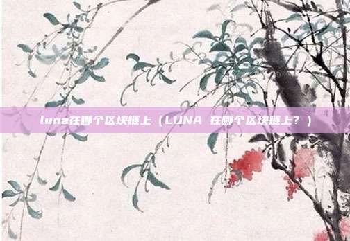 luna在哪个区块链上（LUNA 在哪个区块链上？）