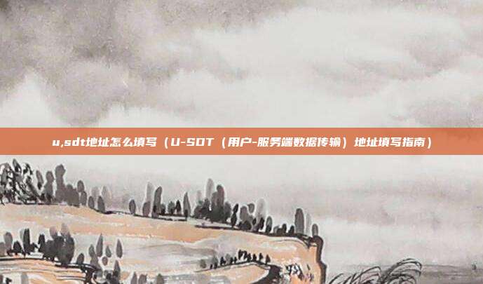 u,sdt地址怎么填写（U-SDT（用户-服务端数据传输）地址填写指南）