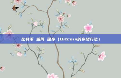 比特币 如何 保存（Bitcoin的存储方法）