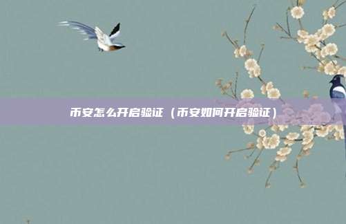 币安怎么开启验证（币安如何开启验证）