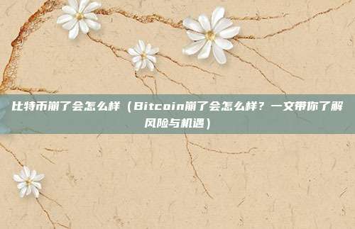 比特币崩了会怎么样（Bitcoin崩了会怎么样？一文带你了解风险与机遇）