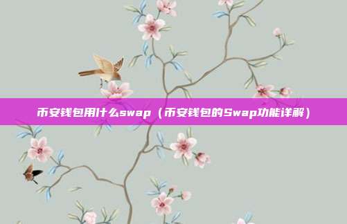 币安钱包用什么swap（币安钱包的Swap功能详解）