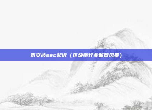 币安被sec起诉（区块链行业监管风暴）