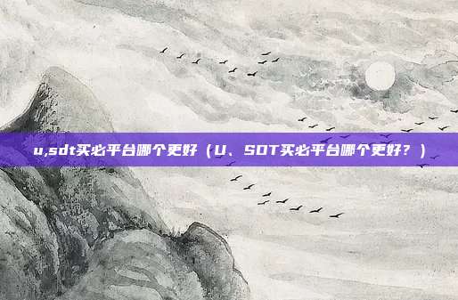 u,sdt买必平台哪个更好（U、SDT买必平台哪个更好？）