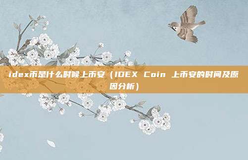 idex币是什么时候上币安（IDEX Coin 上币安的时间及原因分析）