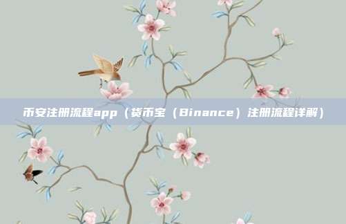 币安注册流程app（货币宝（Binance）注册流程详解）