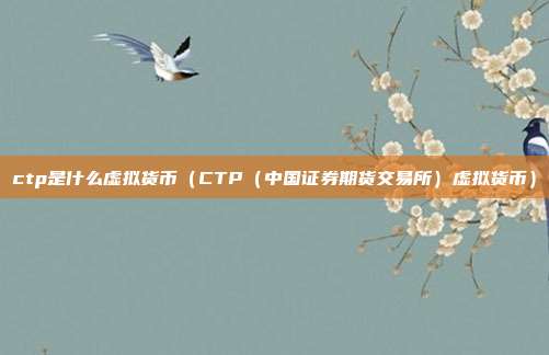 ctp是什么虚拟货币（CTP（中国证券期货交易所）虚拟货币）