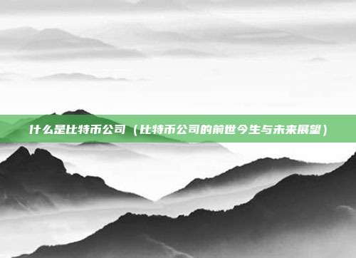 什么是比特币公司（比特币公司的前世今生与未来展望）