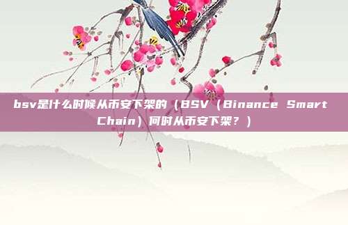 bsv是什么时候从币安下架的（BSV（Binance Smart Chain）何时从币安下架？）