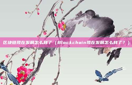 区块链现在发展怎么样了（Blockchain现在发展怎么样了？）