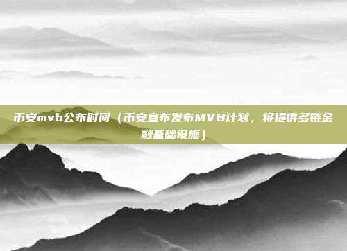 币安mvb公布时间（币安宣布发布MVB计划，将提供多链金融基础设施）