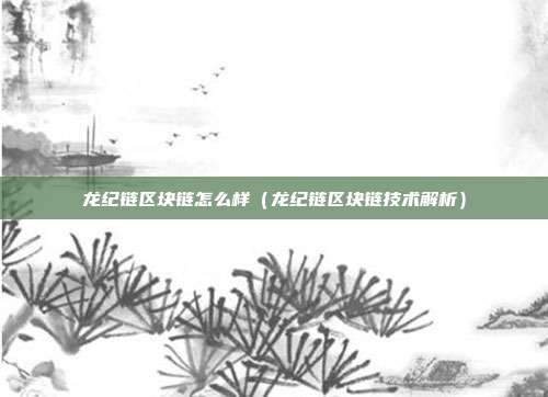 龙纪链区块链怎么样（龙纪链区块链技术解析）