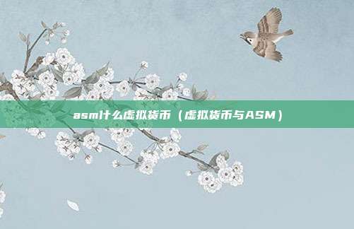 asm什么虚拟货币（虚拟货币与ASM）