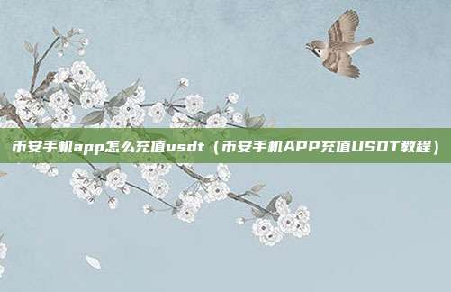 币安手机app怎么充值usdt（币安手机APP充值USDT教程）