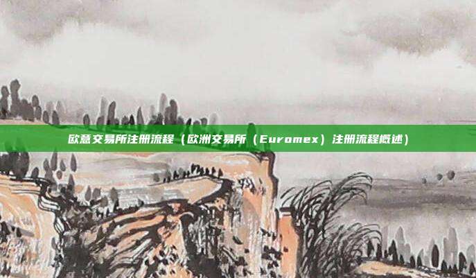 欧意交易所注册流程（欧洲交易所（Euromex）注册流程概述）