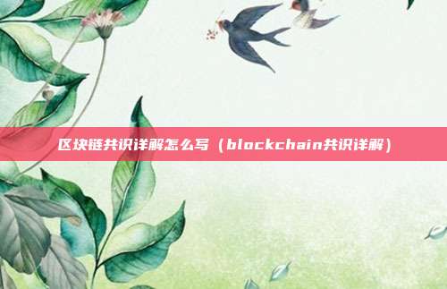 区块链共识详解怎么写（blockchain共识详解）