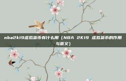 nba2k19虚拟货币有什么用（NBA 2K19 虚拟货币的作用与意义）