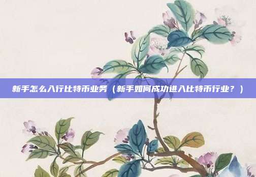 新手怎么入行比特币业务（新手如何成功进入比特币行业？）