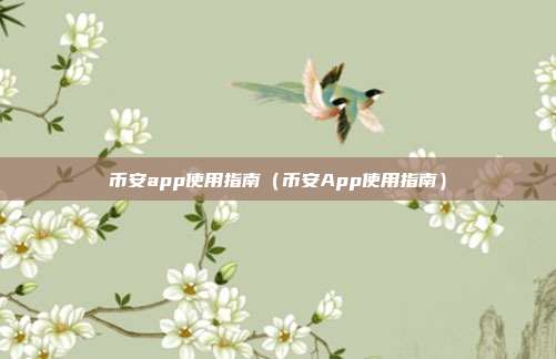 币安app使用指南（币安App使用指南）