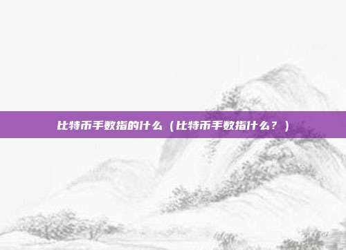 比特币手数指的什么（比特币手数指什么？）