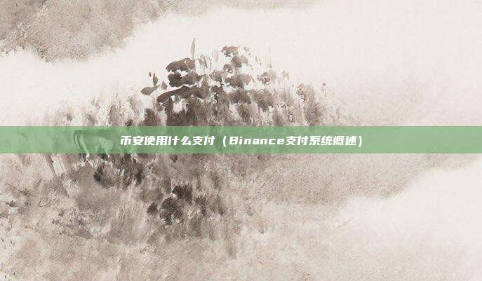 币安使用什么支付（Binance支付系统概述）