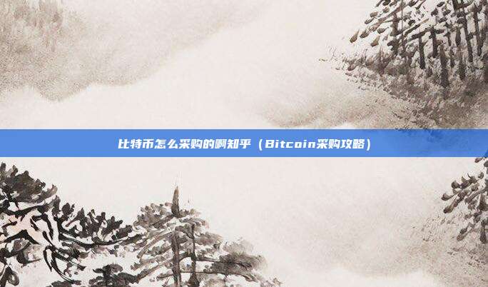 比特币怎么采购的啊知乎（Bitcoin采购攻略）