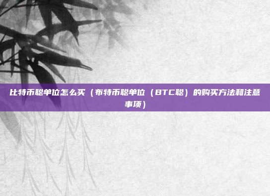 比特币聪单位怎么买（布特币聪单位（BTC聪）的购买方法和注意事项）