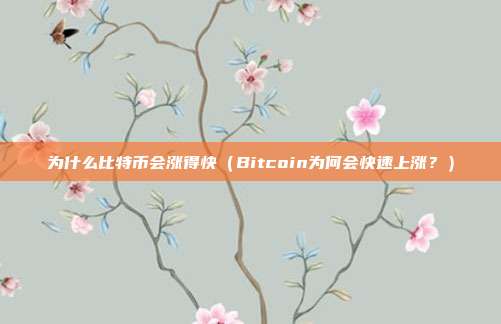 为什么比特币会涨得快（Bitcoin为何会快速上涨？）