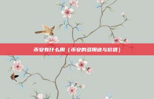 币安有什么用（币安的多用途与价值）