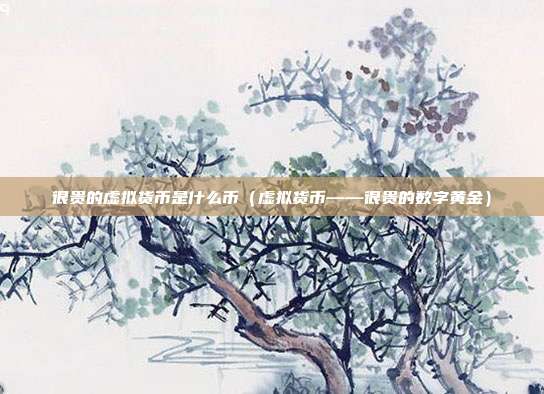 很贵的虚拟货币是什么币（虚拟货币——很贵的数字黄金）