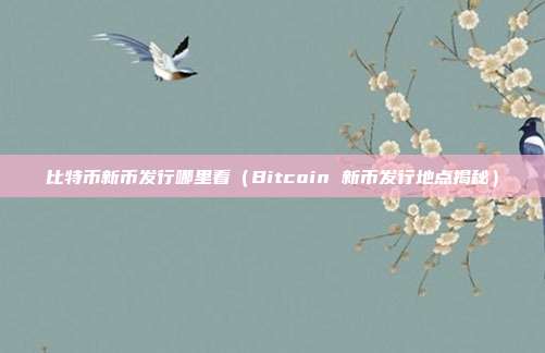 比特币新币发行哪里看（Bitcoin 新币发行地点揭秘）