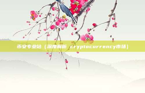 币安专业站（深度解析 cryptocurrency市场）