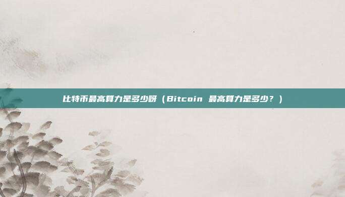 比特币最高算力是多少呀（Bitcoin 最高算力是多少？）