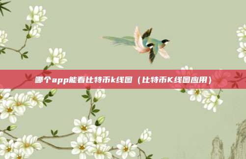 哪个app能看比特币k线图（比特币K线图应用）