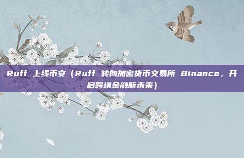 Ruff 上线币安（Ruff 转向加密货币交易所 Binance，开启跨境金融新未来）