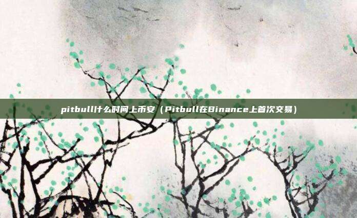 pitbull什么时间上币安（Pitbull在Binance上首次交易）